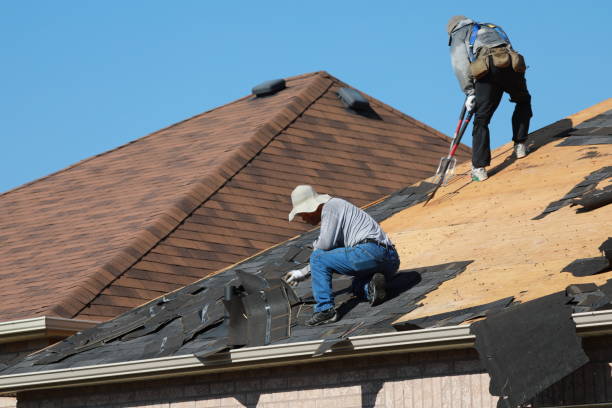 Best Gutter Installation and Repair  in Menahga, MN